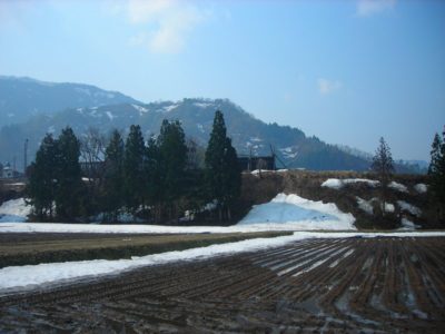 田んぼの雪がほとんど消えました - Nikon COOLPIX L3