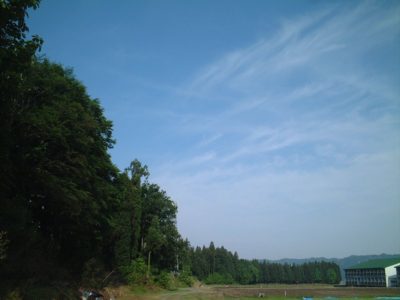 今朝の散歩コース・・・黒土新田の田んぼの脇の道 - 富士フィルム FinePix 40i