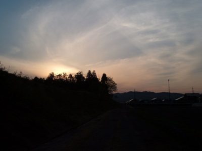 夕方の散歩コース・・・田んぼの脇の農道 - 富士フィルム FinePix A330