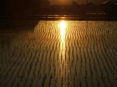 沈む夕日の風景 - 富士フィルム FinePix A500