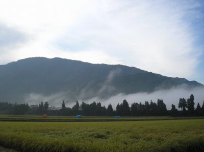 稲刈り時期の魚沼産コシヒカリの田んぼの朝の風景 - OLYMPUS CAMEDIA X-550