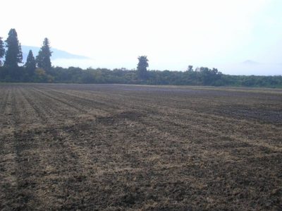 今年の秋は耕してある田んぼが目立ちます - OLYMPUS CAMEDIA X-550