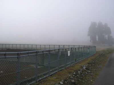 霧が晴れてきた朝の田んぼの風景 - OLYMPUS CAMEDIA X-550