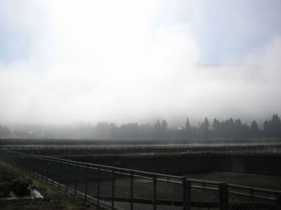 霧が晴れてきた朝の田んぼの風景 - OLYMPUS CAMEDIA X-550