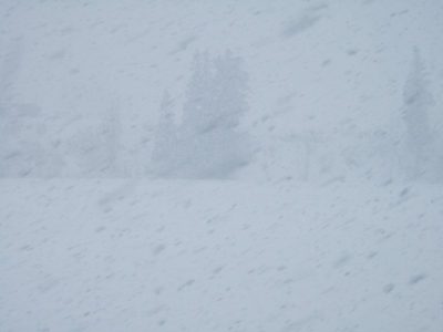 新潟県南魚沼市では午後になって雪が激しくなってきました - 富士フィルム FinePix F10