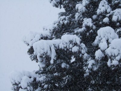 雪国がようやく冬らしくなりました - 富士フィルム FinePix F10
