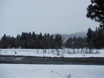 水無川の土手が見えてきていて冬らしさを感じません - 富士フィルム FinePix A500