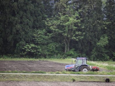 今日も田んぼでトラクターが動いています