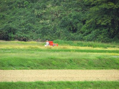 前の田んぼで稲刈り作業が行われています