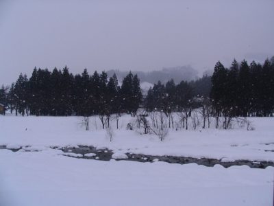 今朝の水無川の雪景色