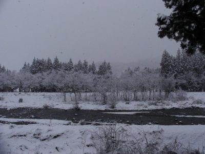 水無川の雪景色