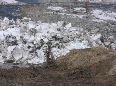 春の水無川の雪捨て場の風景